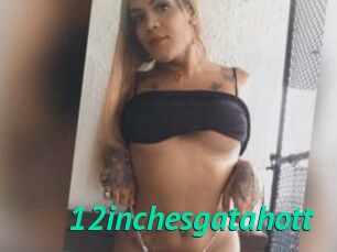 12inchesgatahott