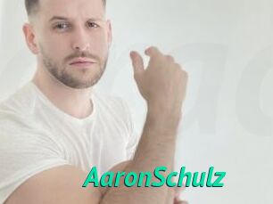 AaronSchulz