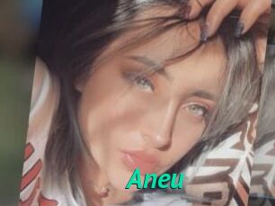 Aneu