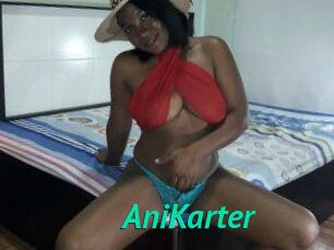 AniKarter