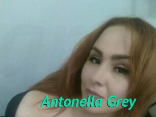 Antonella_Grey