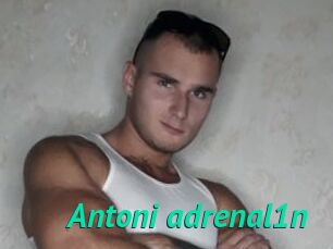 Antoni_adrenal1n