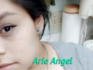 Arie_Angel