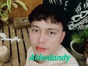 Aidenlandy