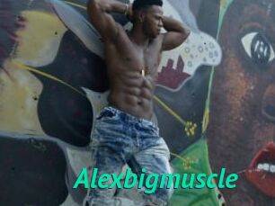 Alexbigmuscle