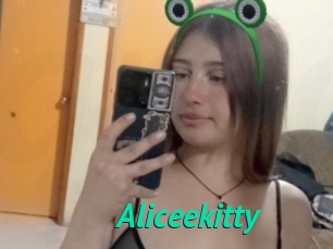 Aliceekitty