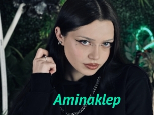 Aminaklep