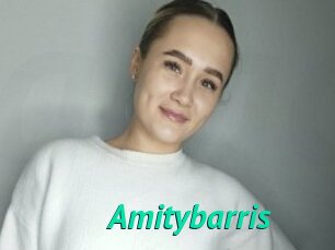 Amitybarris