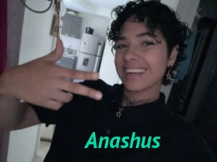 Anashus