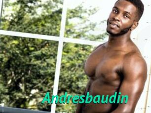 Andresbaudin