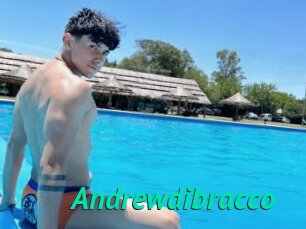 Andrewdibracco