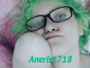 Aneris1718