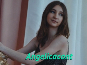 Angelicacant