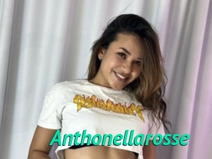 Anthonellarosse