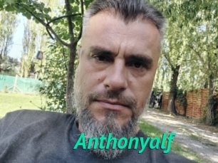 Anthonyalf