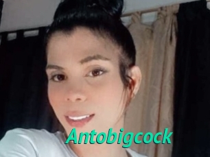 Antobigcock