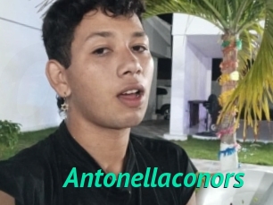 Antonellaconors