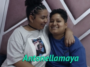 Antonellamaya