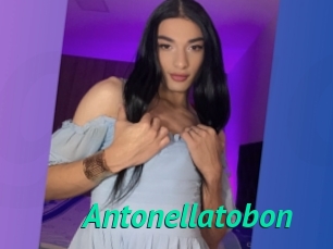 Antonellatobon