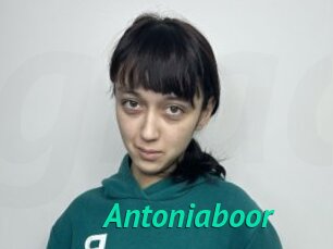 Antoniaboor