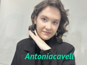 Antoniacavell