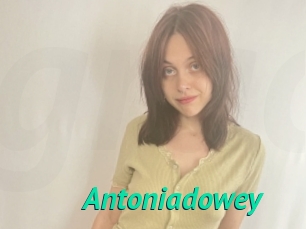 Antoniadowey