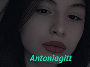 Antoniagitt