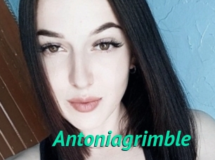 Antoniagrimble