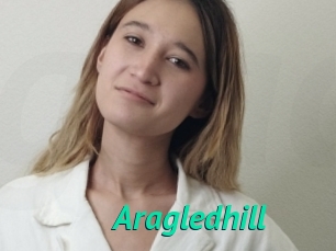 Aragledhill