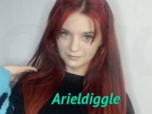 Arieldiggle