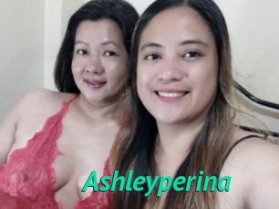 Ashleyperina