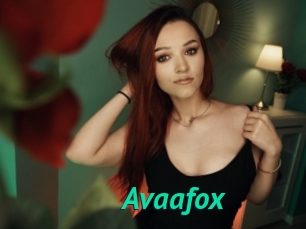 Avaafox