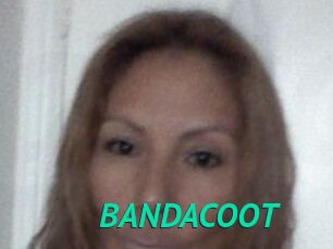 BANDACOOT