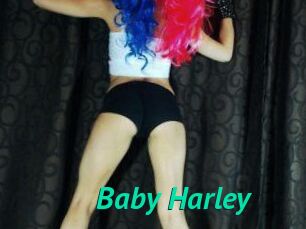 Baby_Harley