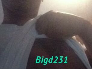 Bigd231