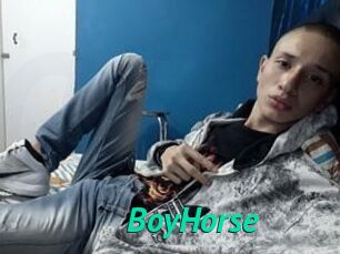 BoyHorse