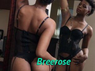 Breerose