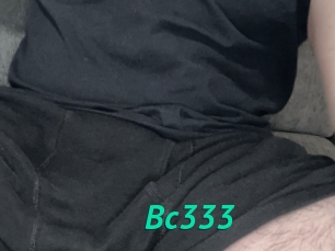 Bc333