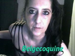 Belgecoquine