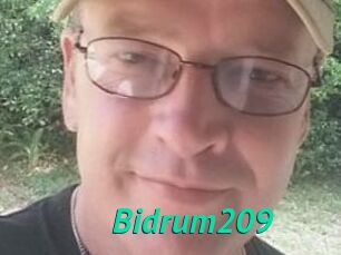 Bidrum209