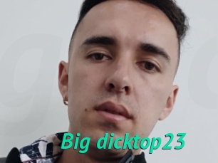 Big_dicktop23