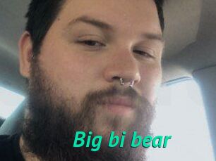 Big_bi_bear