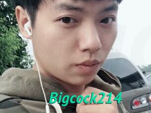 Bigcock214