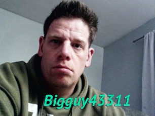 Bigguy43311