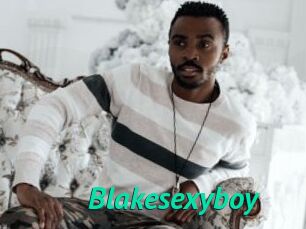 Blakesexyboy