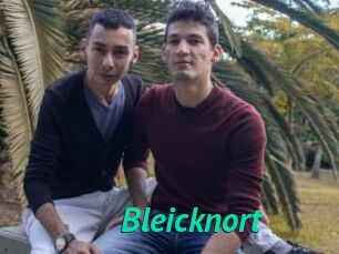 Bleicknort