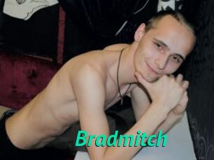 Bradmitch