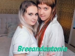 Breeandantonia