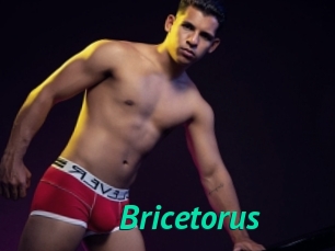 Bricetorus