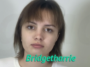 Bridgetharrie